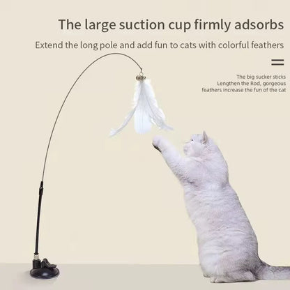 FeatherToy