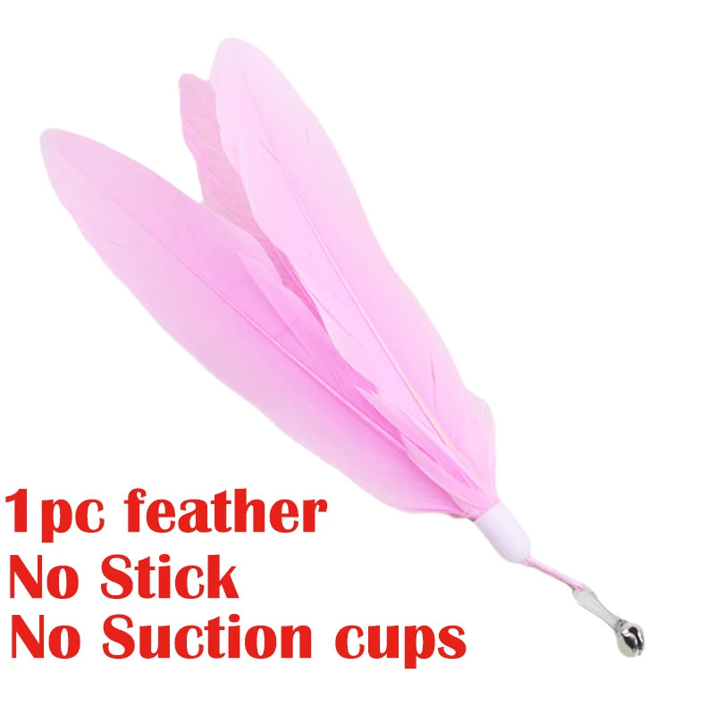 FeatherToy