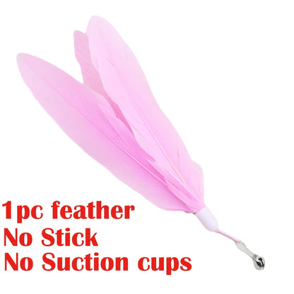 FeatherToy