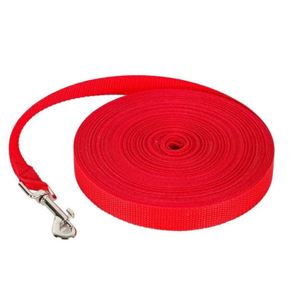 Training Leash