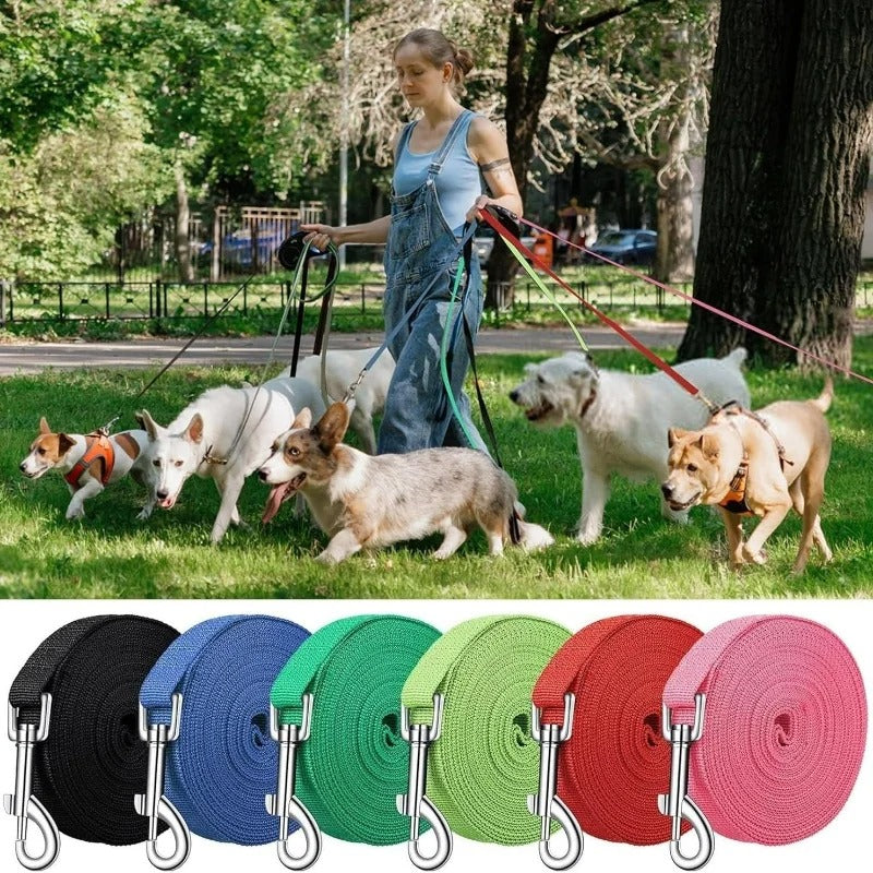 Training Leash