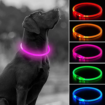 LED Collar for Pets