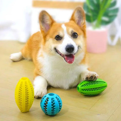 ChewToy