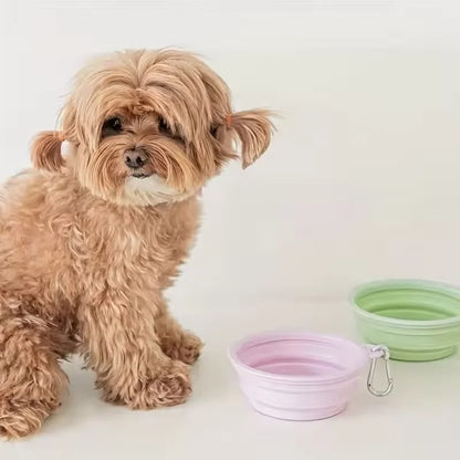 Foldable Silicone Pet Bowl