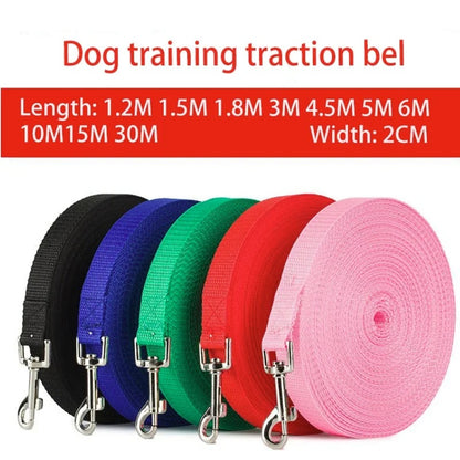 Training Leash