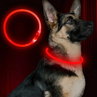 LED Collar for Pets