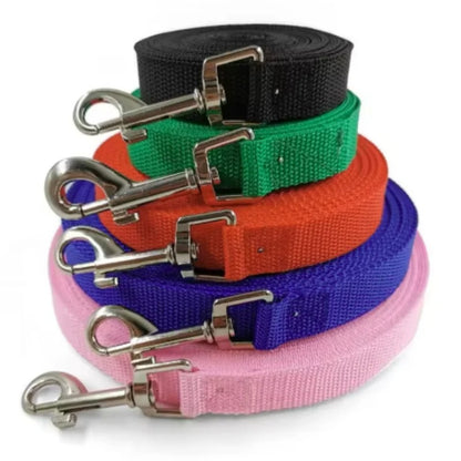 Training Leash