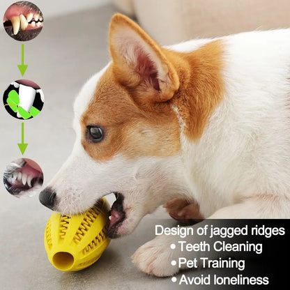 ChewToy