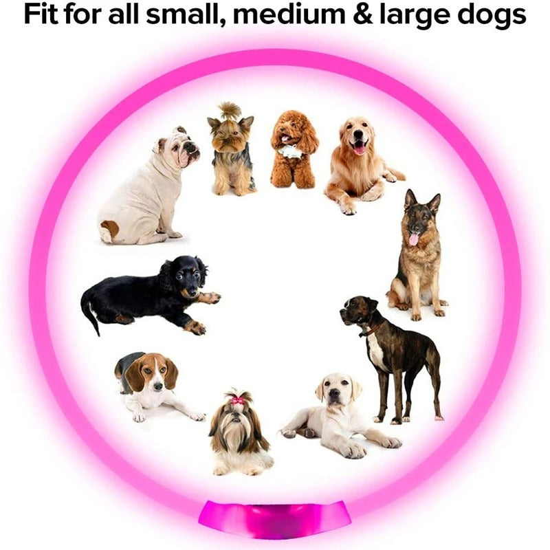 LED Collar for Pets