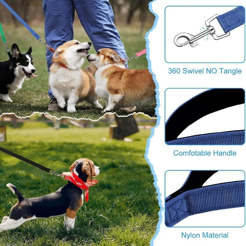 Training Leash